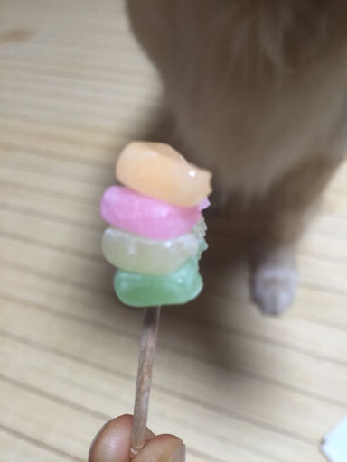 グミ