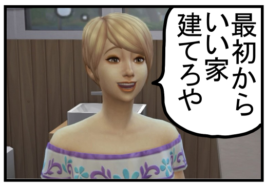 SIMSレポ-27