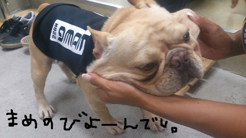 BlogPaint