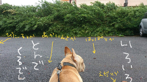 BlogPaint