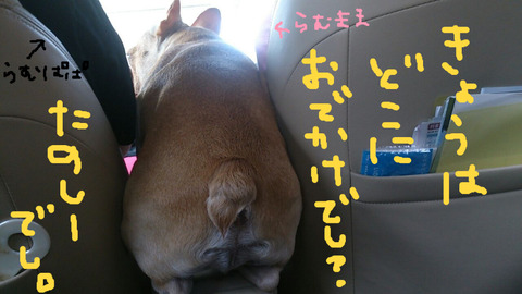 BlogPaint