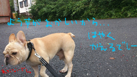 BlogPaint