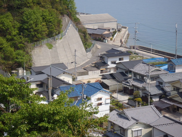 org4175281