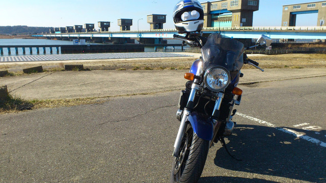 bike1293