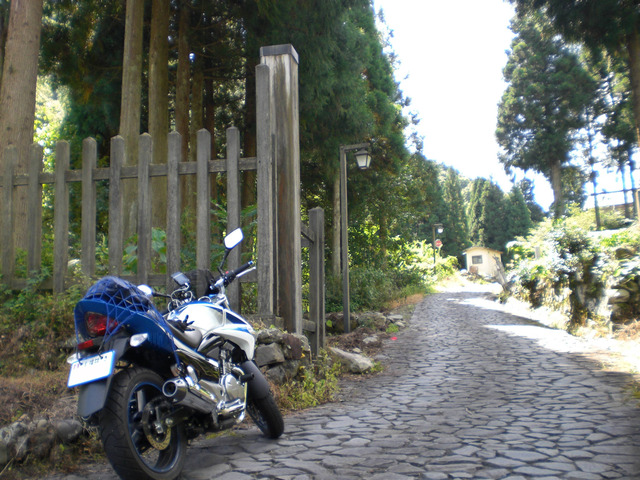 bike_1394117325_95407_m