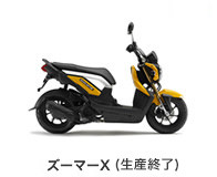 btn_bike_zoomerx110