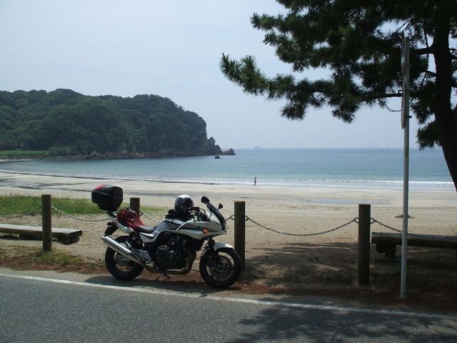 file8615