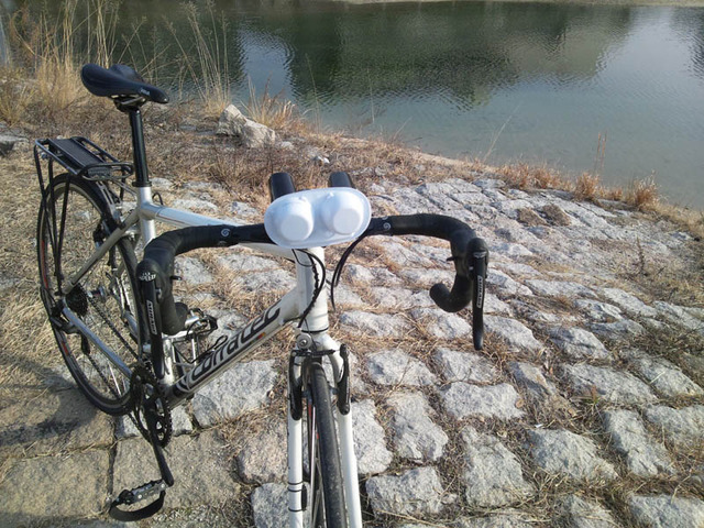 bike1279