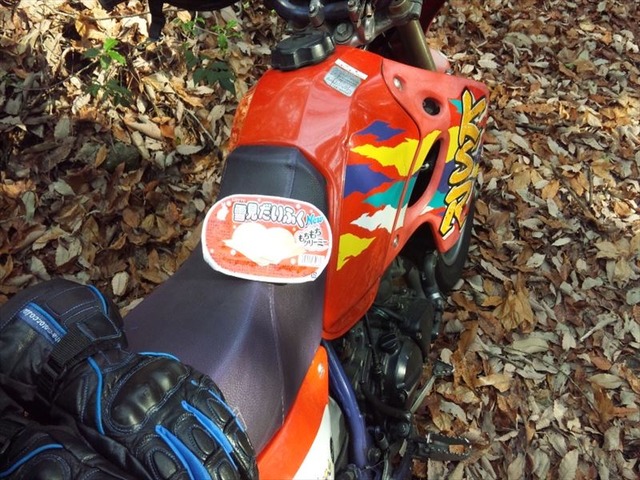 bike0828