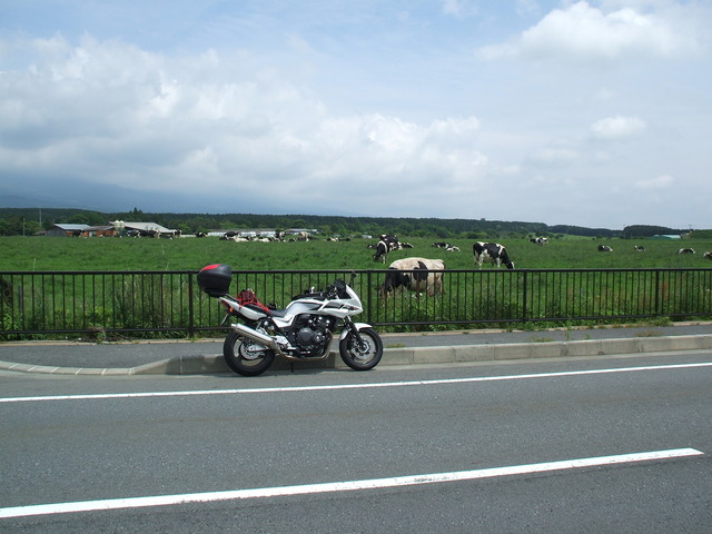 file8613