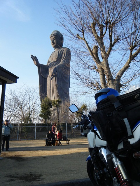 bike1213