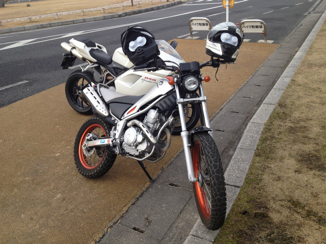 bike1319