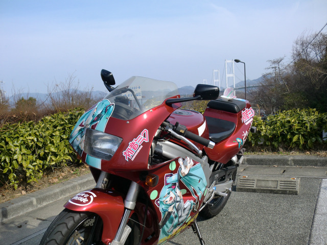 bike1259