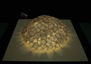 DSCN5895