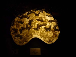 P1090105