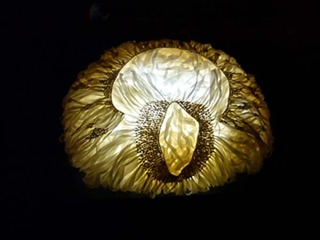 P1090111