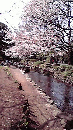2010040614190000