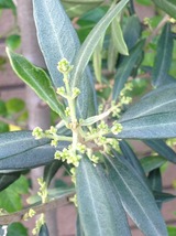 acd8d07a.jpg