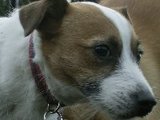 20070101