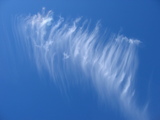 Sedona8_Mami