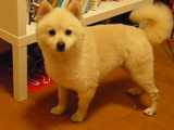 417679d7.jpg