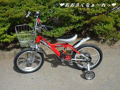 d904d737.jpg