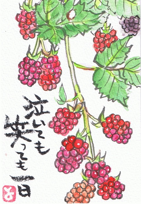 びぃ様　ご確認用 Berry様確認用 ベリー様確認用 Mさま確認用 ベリー様確認用