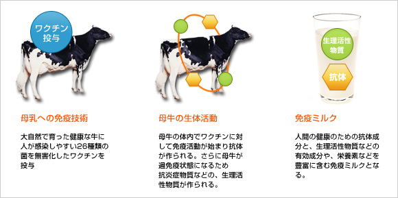 sasutenamilk