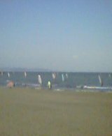 20050403_1419_0000.jpg