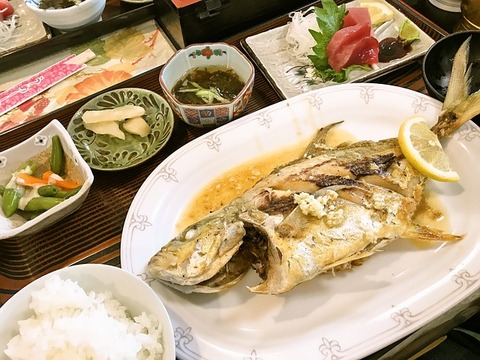 fish-2399146_640