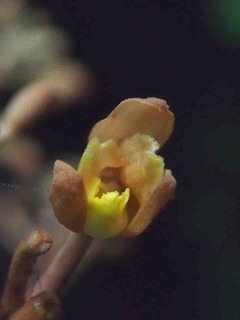 P7109397