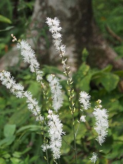 PA010045