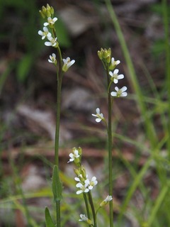 P6020084