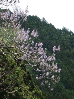 DSC00147