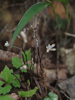 P7272970