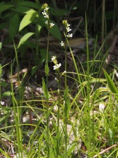 P6020081