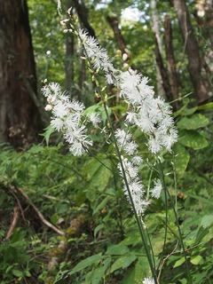 PA010040