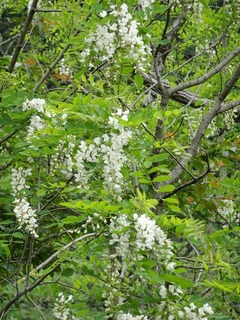 DSC02624