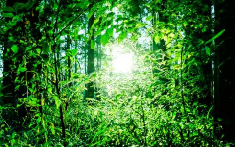私が見た「異世界」のことを話します