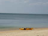 21d44542.jpg