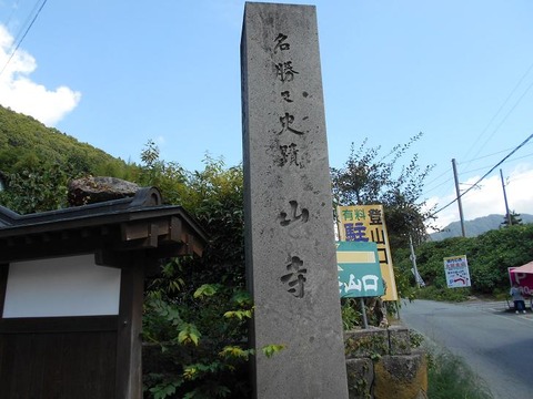 DSCN0862