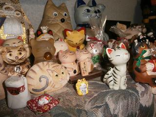 P3160294-1.jpg