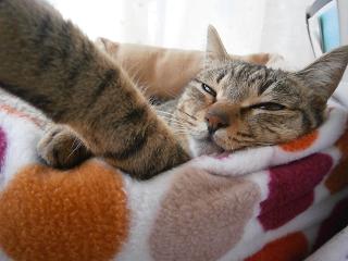 P4070408-1.jpg