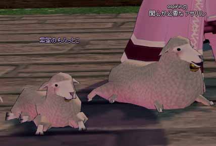構造が違いすぎる