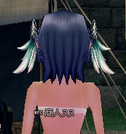 ペガサスの翼後ろ