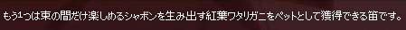束の間