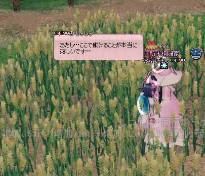 大麦