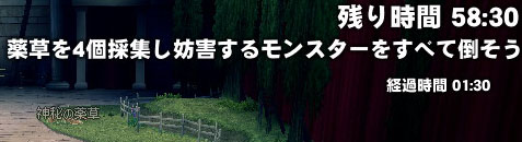 G14-49 薬草を4個