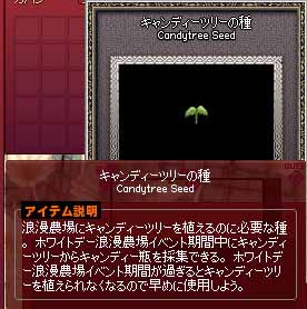 キャンディーツリーの種