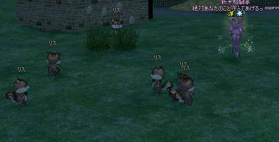 リス発見